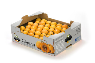 Loquat Box