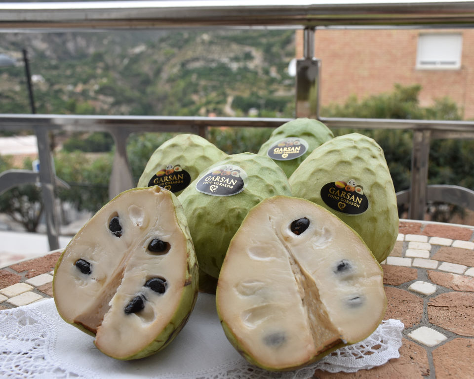 Custard Apple Garsan pulpa